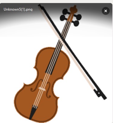 Beginner Violin Class